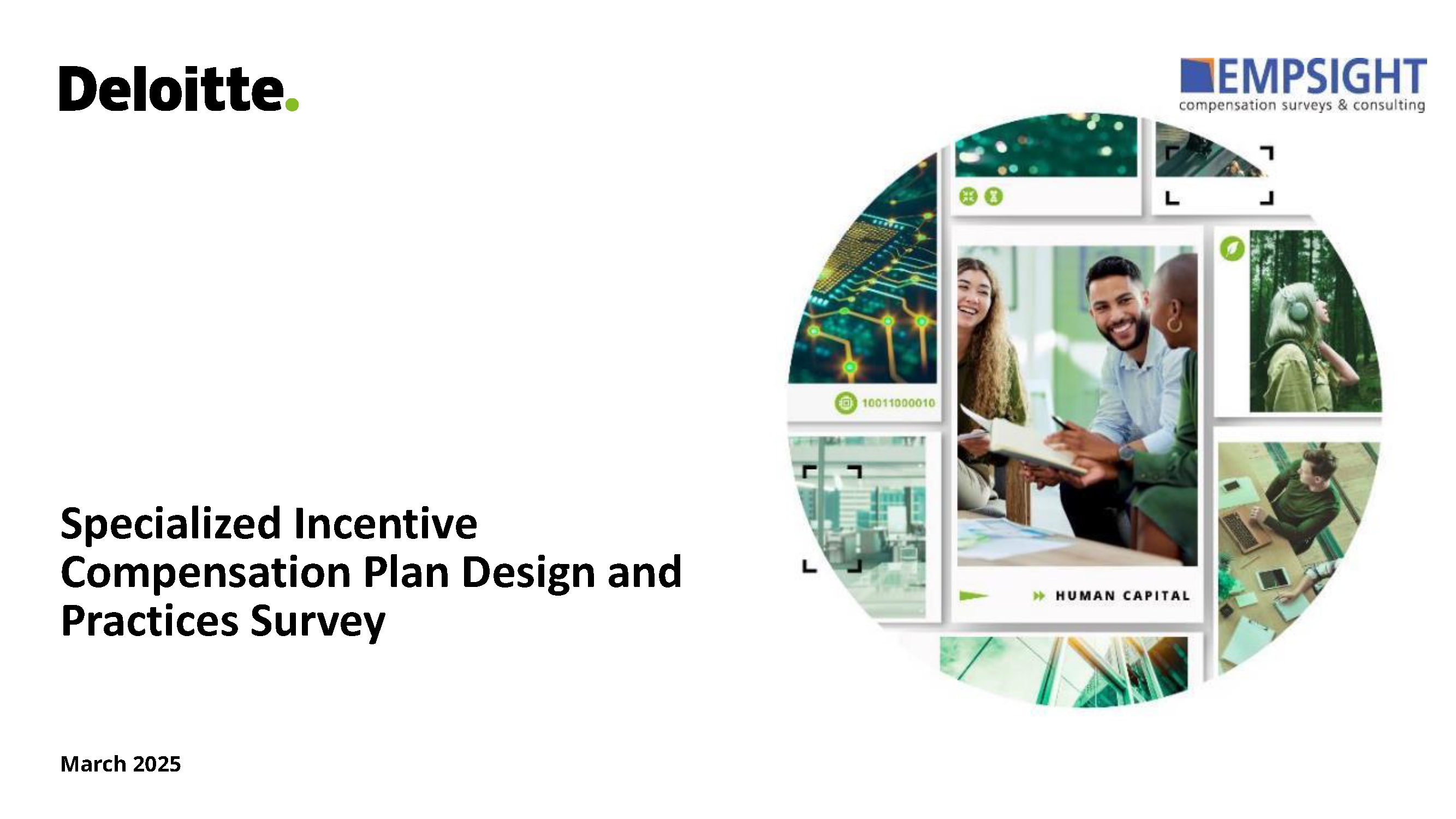 2025 Deloitte Empsight Special Incentives Report 24-25 (Non-Participant)